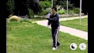 Tai Chi Sword Form 32 Yang Taiji Jian [upl. by Paderna]