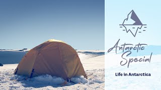 Life in Antarctica  Behind the News [upl. by Buck]