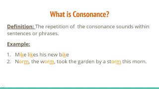 Alliteration Consonance and Assonance [upl. by Ansley]