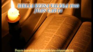 Biblia HabladaBIBLIA REINA VALERA 1960 JUAN CAP 14 [upl. by Ynatil643]