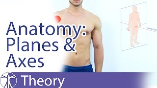 Anatomical Planes amp Axes Explained [upl. by Rammaj]