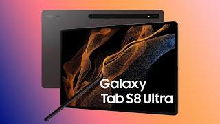 Samsung Galaxy Tab S8 Ultra Artist Review [upl. by Hanshaw]