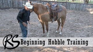 Hobble Training  Everyday Horsemanship [upl. by Ryann]