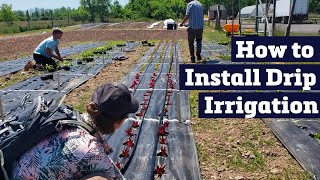 How to Install Drip Irrigation [upl. by Hakon]