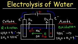 Electrolysis of Water  Electrochemistry [upl. by Darbee568]