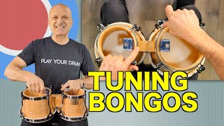 How to Tune Bongos  Tutorial [upl. by Ahcorb]