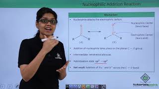 Class 12th – Nucleophilic Addition Reactions  Tutorials Point [upl. by Mata497]