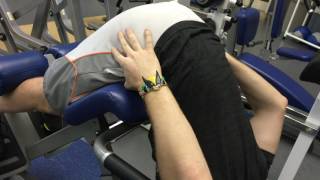 Hyperextension Glute Focus [upl. by Giffie]