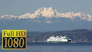 Bremerton Ferry ⛴  Seattle Day Trip [upl. by Weigle]